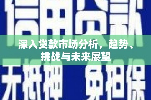 浑南深入贷款市场分析，趋势、挑战与未来展望
