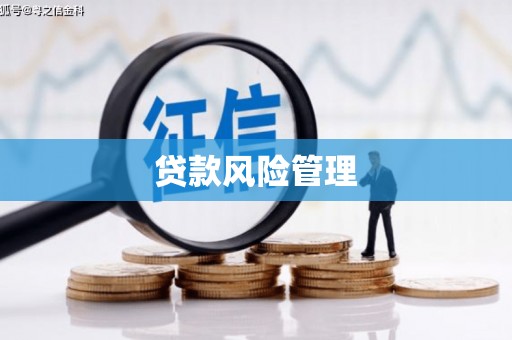 浑南贷款风险管理