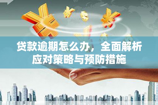 浑南贷款逾期怎么办，全面解析应对策略与预防措施