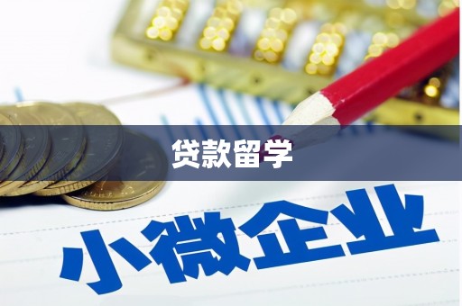 浑南贷款留学