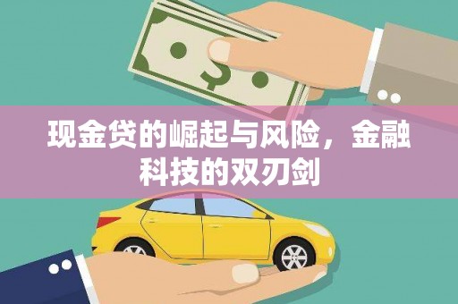 浑南现金贷的崛起与风险，金融科技的双刃剑