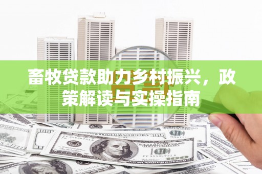 浑南畜牧贷款助力乡村振兴，政策解读与实操指南