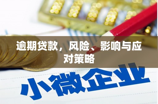 浑南逾期贷款，风险、影响与应对策略