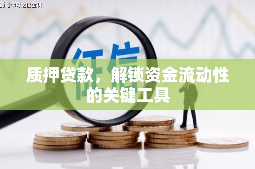 浑南质押贷款，解锁资金流动性的关键工具