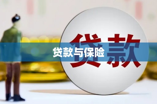 浑南贷款与保险