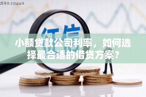 浑南小额贷款公司利率，如何选择最合适的借贷方案？