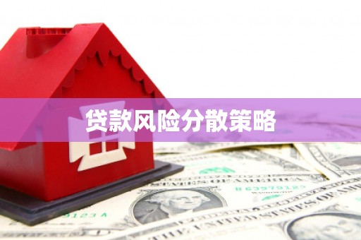 浑南贷款风险分散策略