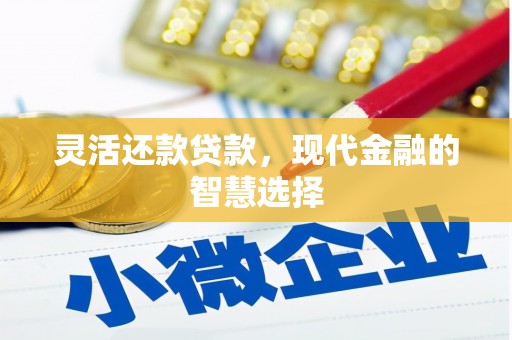 浑南灵活还款贷款，现代金融的智慧选择