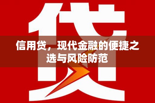 浑南信用贷，现代金融的便捷之选与风险防范