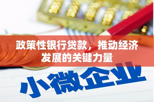 浑南政策性银行贷款，推动经济发展的关键力量