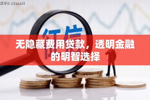 浑南无隐藏费用贷款，透明金融的明智选择