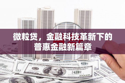 浑南微粒贷，金融科技革新下的普惠金融新篇章