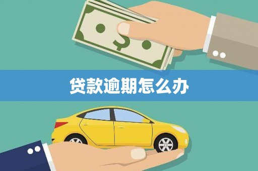 浑南贷款逾期怎么办