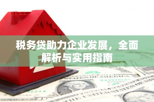浑南税务贷助力企业发展，全面解析与实用指南