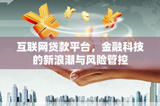 浑南互联网贷款平台，金融科技的新浪潮与风险管控