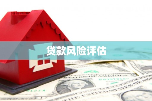 浑南贷款风险评估