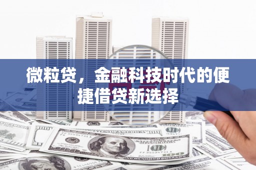 浑南微粒贷，金融科技时代的便捷借贷新选择