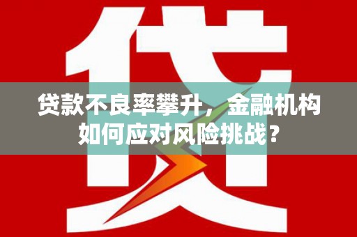 浑南贷款不良率攀升，金融机构如何应对风险挑战？