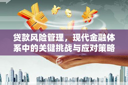 浑南贷款风险管理，现代金融体系中的关键挑战与应对策略