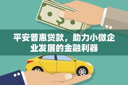 浑南平安普惠贷款，助力小微企业发展的金融利器