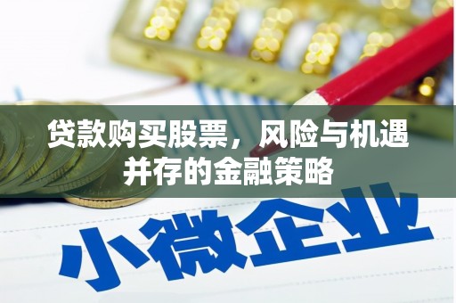 浑南贷款购买股票，风险与机遇并存的金融策略