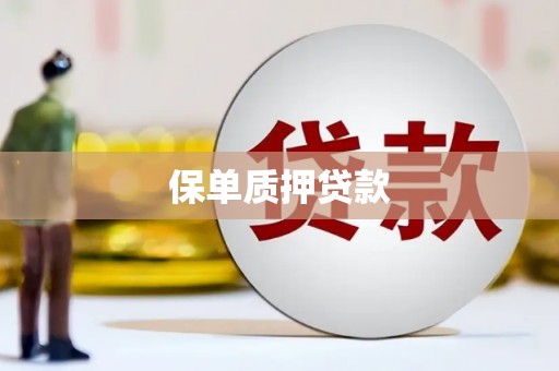 浑南保单质押贷款