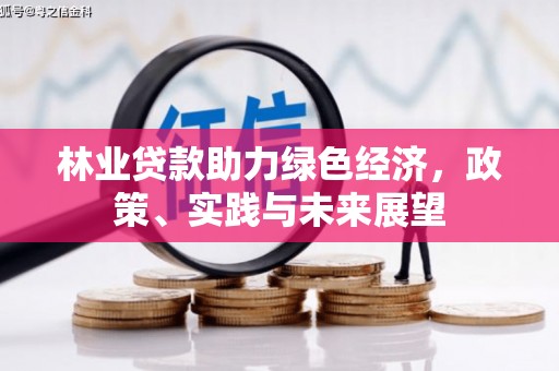 浑南林业贷款助力绿色经济，政策、实践与未来展望