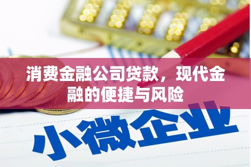 浑南消费金融公司贷款，现代金融的便捷与风险