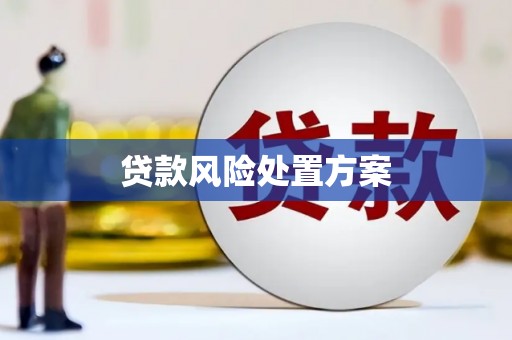 浑南贷款风险处置方案