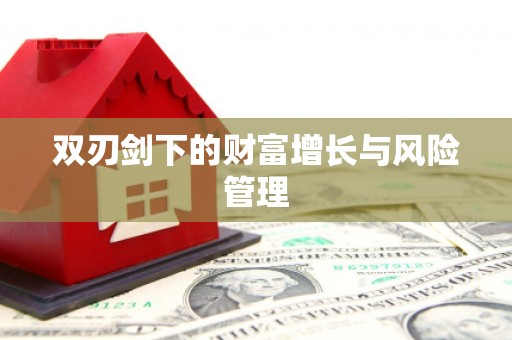 浑南双刃剑下的财富增长与风险管理