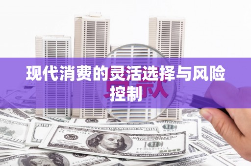 浑南现代消费的灵活选择与风险控制