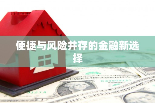 浑南便捷与风险并存的金融新选择