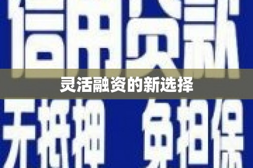 浑南灵活融资的新选择