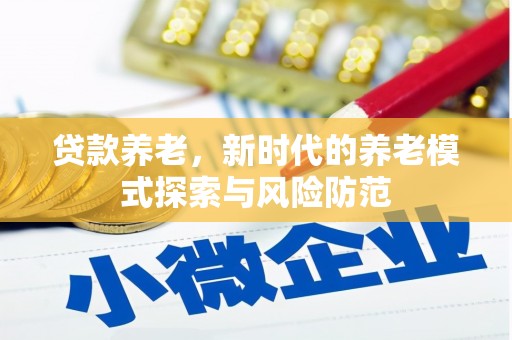 浑南贷款养老，新时代的养老模式探索与风险防范