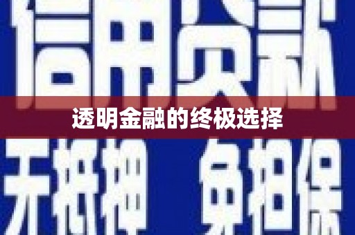 浑南透明金融的终极选择