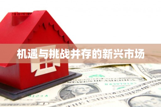 浑南机遇与挑战并存的新兴市场