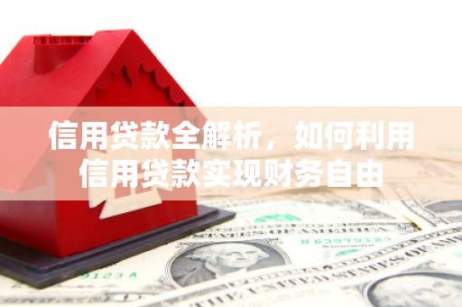 浑南信用贷款全解析，如何利用信用贷款实现财务自由