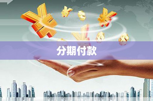 浑南分期付款
