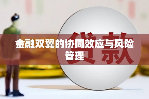 浑南金融双翼的协同效应与风险管理