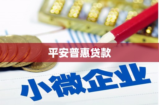 浑南平安普惠贷款